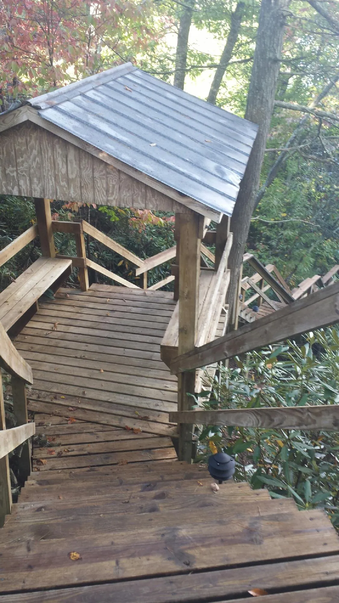 Metal roofed shelter over wooden steps on a wooded walkway in Alamo